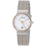 Skagen Ancher Quartz Crystal Two-Tone Stainless Steel Watch 355SSRS 
